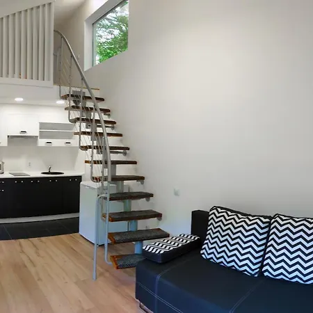 Vasarotoju 아파트 *