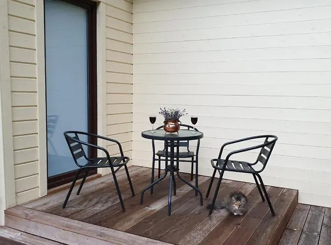 Vasarotoju Klaipėda